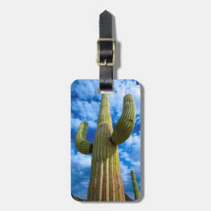Etiqueta De Bagagem Retrato do cacto Saguaro, Arizona