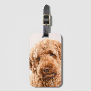 Etiqueta De Bagagem Retrato do Goldendoodle Studio