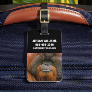 Etiqueta De Bagagem Retrato do Orang-utango macho, Geórgia, EUA