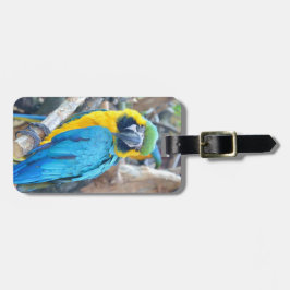 Etiqueta De Bagagem Retrato do papagaio