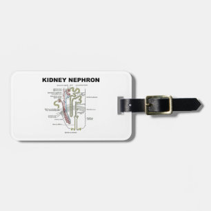 Etiqueta De Bagagem Rim Nephron (livro de texto da anatomia do cinza)