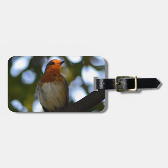 Etiqueta De Bagagem Robin (Frente Horizontal)