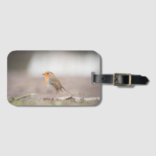 Etiqueta De Bagagem Robin Bird Nature Foto