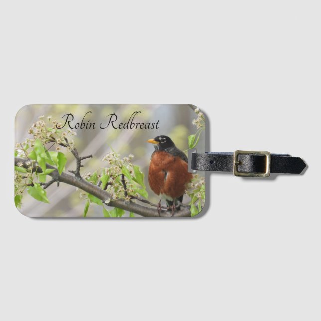 Etiqueta De Bagagem Robin-Primavera Blossoms Americano (Frente Horizontal)