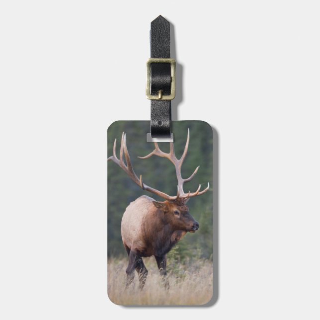 Etiqueta De Bagagem Rocky Mountain Elk (Frente Vertical)