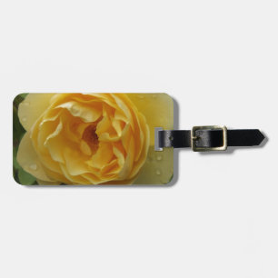 Etiqueta De Bagagem Rosa amarelo