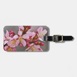Etiqueta De Bagagem Rosa Contra Um Céu Cinza Flor de Cerejeira Japones