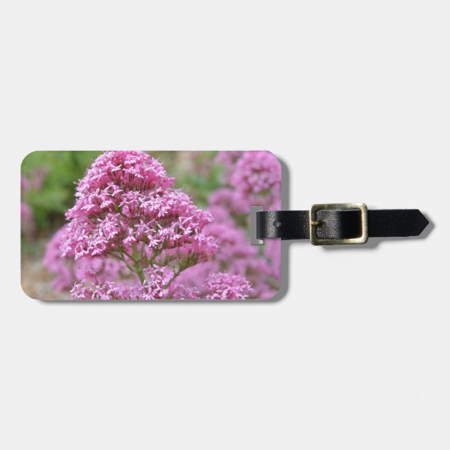 Etiqueta De Bagagem Rosa-do-mar (Frente Horizontal)