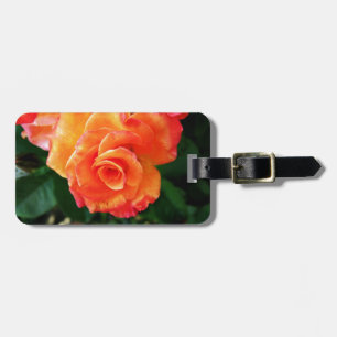 Etiqueta De Bagagem Rosa laranja  