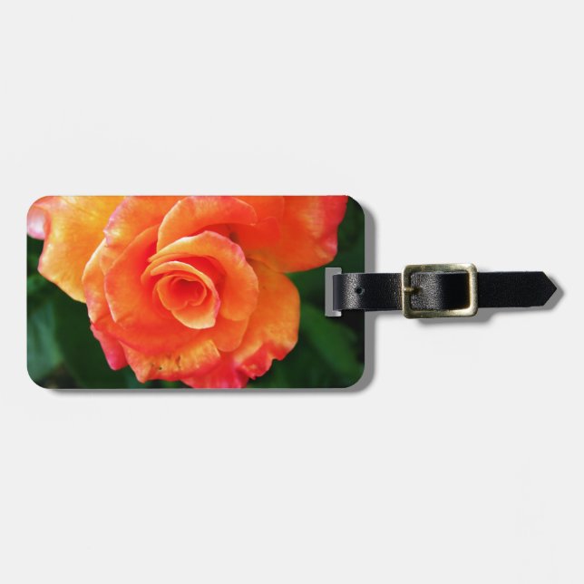 Etiqueta De Bagagem Rosa laranja (Frente Horizontal)