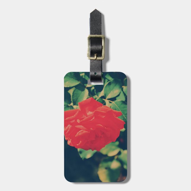 Etiqueta De Bagagem Rosa vermelha (Frente Vertical)