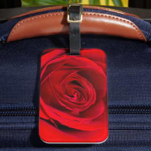 Etiqueta De Bagagem Rosa vermelha romântica na floração do cheio