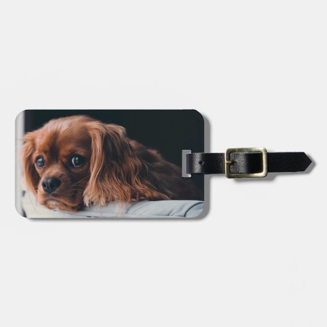 Etiqueta De Bagagem Ruby Cavalier King Charles Spaniel Dog (Frente Horizontal)