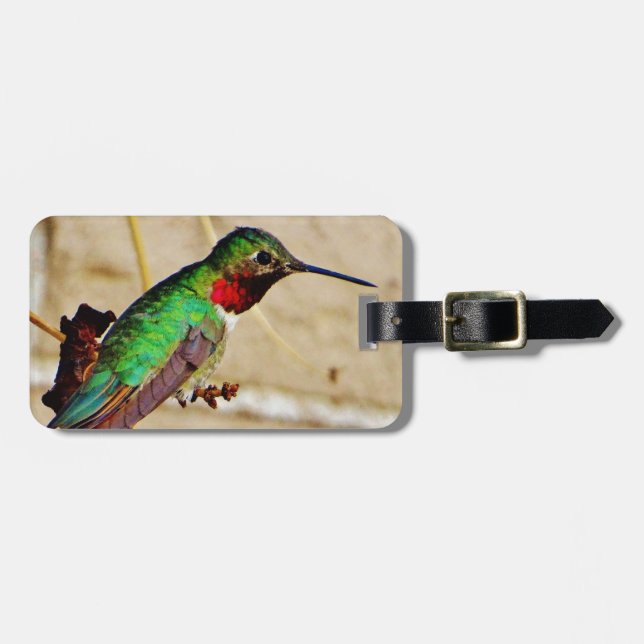 Etiqueta De Bagagem Ruby Green Hummingbird (Frente Horizontal)