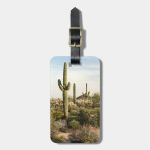 Etiqueta De Bagagem Saguaro Cactus, Arizona,EUA