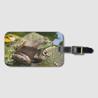 Etiqueta De Bagagem Sapo - Velho Coaxador