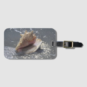 Etiqueta De Bagagem Seashell na ilha da praia Sanibel, Florida