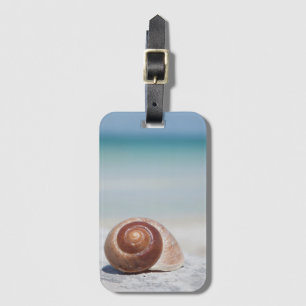 Etiqueta De Bagagem Seashell na praia   St Petersburg, Fl