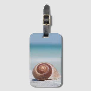 Etiqueta De Bagagem Seashell St Petersburg, Florida