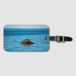 Etiqueta De Bagagem Selo do Porto Atlântico