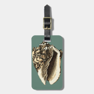 Etiqueta De Bagagem Shell de Conch Teal