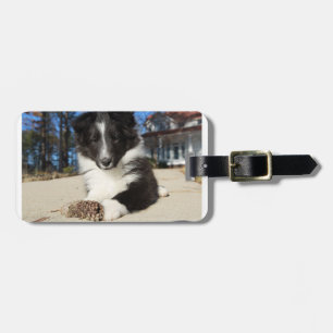 Etiqueta De Bagagem shet shp cachorro preto e branco