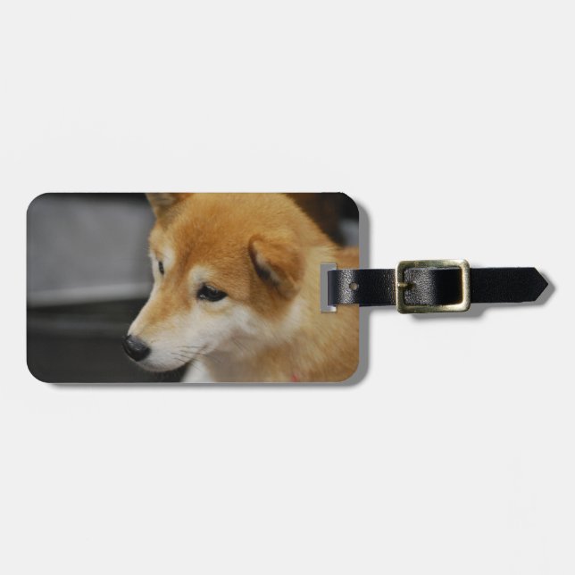 Etiqueta De Bagagem shiba-inu-2.jpg (Frente Horizontal)