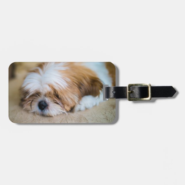Etiqueta De Bagagem Shih Tzu (Frente Horizontal)