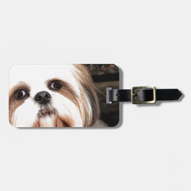 Etiqueta De Bagagem Shih Tzu (Frente Horizontal)