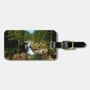 Etiqueta De Bagagem Silver Falls no Parque Nacional do Monte Rainier