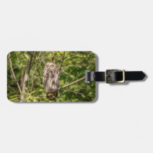 Etiqueta De Bagagem Sleepy Barred Owl