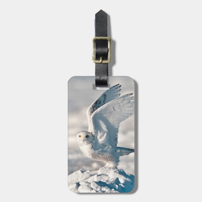 Etiqueta De Bagagem Snowy Owl a sair da neve (Frente Vertical)