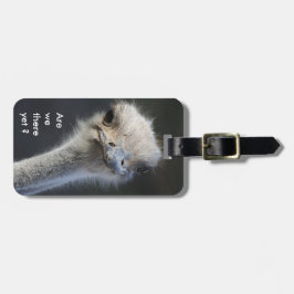 Etiqueta De Bagagem Somos nós lá ainda?