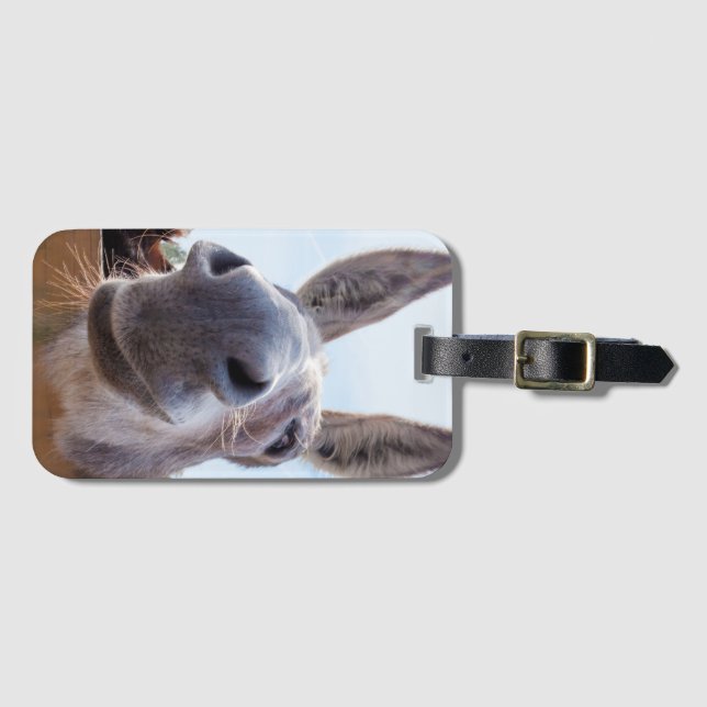 Etiqueta De Bagagem Sorriso de burro com Bobo (Frente Horizontal)