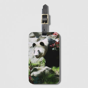 Etiqueta De Bagagem Sorriso de Panda