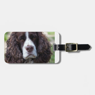 Etiqueta De Bagagem springer inglês spaniel.png