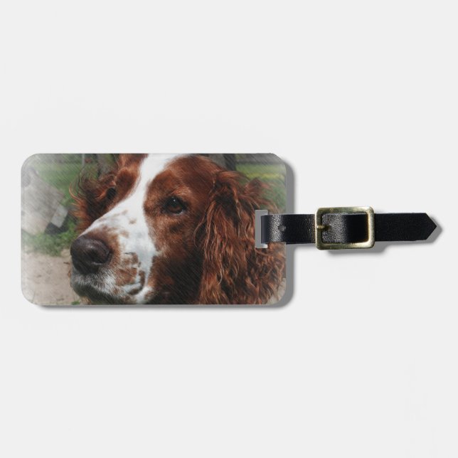 Etiqueta De Bagagem Springer Spaniel Dog Art (Frente Horizontal)