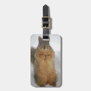 Etiqueta De Bagagem Squirrel Love