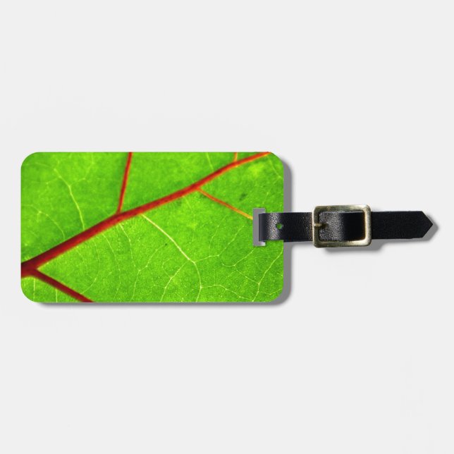 Etiqueta De Bagagem St Thomas 1 (Frente Horizontal)