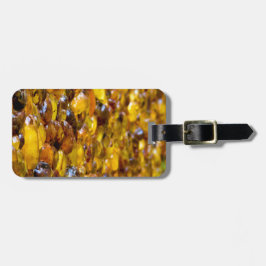 Etiqueta De Bagagem St Thomas 2