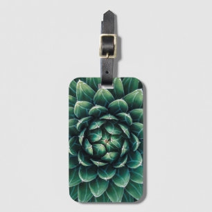 Etiqueta De Bagagem Succulent verde & branco