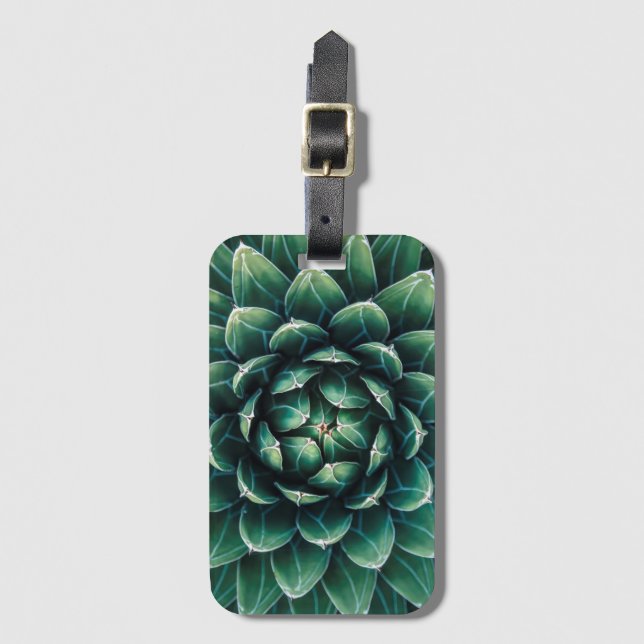 Etiqueta De Bagagem Succulent verde & branco (Frente Vertical)