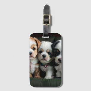 Etiqueta De Bagagem Super Bonitinhos no sofá 2