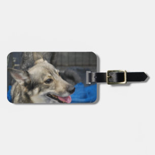 Etiqueta De Bagagem swedish-vallhund-2.jpg