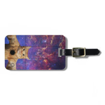 Tabby Vermelho Fazendo uma Selfie no Espaço