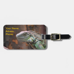 Etiqueta De Bagagem Tag da bagagem com o lagarto colorido da iguana