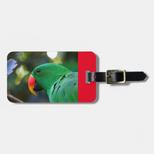 Etiqueta De Bagagem Tag da bagagem com papagaio de Eclectus