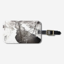 Tag da bagagem da angra do inverno (2,0)