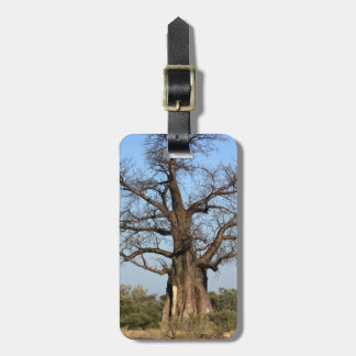 Etiqueta De Bagagem Tag da bagagem da árvore do Baobab