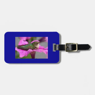 ETIQUETA DE BAGAGEM TAG DA BAGAGEM DO COLIBRI